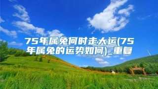 75年属兔何时走大运(75年属兔的运势如何)_重复