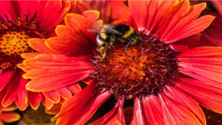 八字测婚姻信息规律预测(男命八字财星暗藏地支)