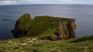 鼻头发亮发光要来财(有这几种贵相的人)