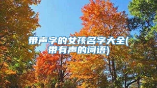 带声字的女孩名字大全(带有声的词语)