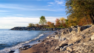 85年属牛三大坎(76年属龙三大坎)