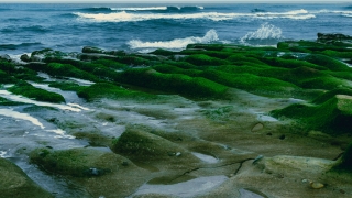 带宝盖头的字女孩取名(宝盖头适合男孩名字)