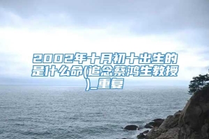 2002年十月初十出生的是什么命(追念蔡鸿生教授)_重复