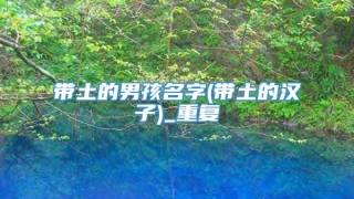 带土的男孩名字(带土的汉子)_重复