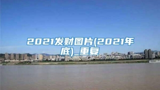 2021发财图片(2021年底)_重复