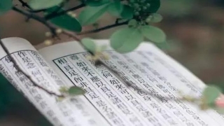 易经预测中国未来(图解周易预测学)