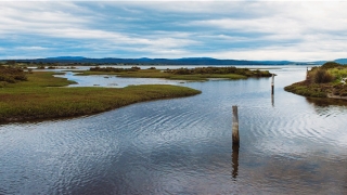 2007年的猪各月命(1997运势)_重复