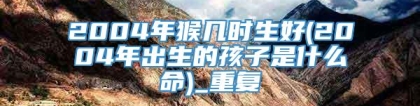 2004年猴几时生好(2004年出生的孩子是什么命)_重复