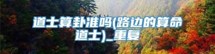 道士算卦准吗(路边的算命道士)_重复