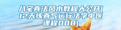 八宅真法风水教程大公开(12天练真气运行法学中医课程008)