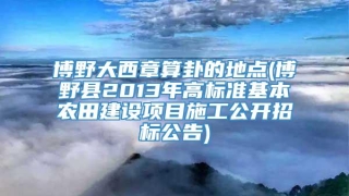 博野大西章算卦的地点(博野县2013年高标准基本农田建设项目施工公开招标公告)