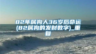 82年属狗人36岁后命运(82属狗的发财数字)_重复