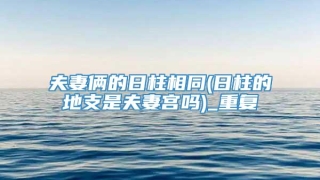 夫妻俩的日柱相同(日柱的地支是夫妻宫吗)_重复