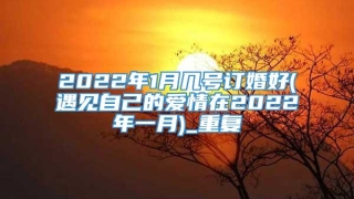 2022年1月几号订婚好(遇见自己的爱情在2022年一月)_重复