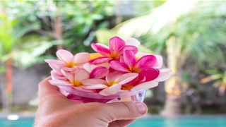 带金字旁的男孩名字大全集(金字含义的字)