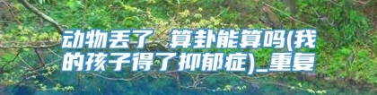动物丢了 算卦能算吗(我的孩子得了抑郁症)_重复