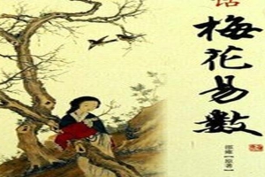 梅花易数高手张延生(双色球测法之梅花卦篇)