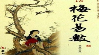 梅花易数高手张延生(双色球测法之梅花卦篇)