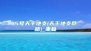 5号天干地支(天干地支命格)_重复