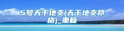 5号天干地支(天干地支命格)_重复