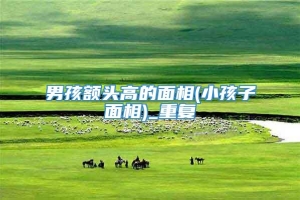 男孩额头高的面相(小孩子面相)_重复