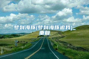 梦到海豚(梦到海豚追我)_重复