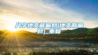 八字地支藏偏财(地支有偏财)_重复