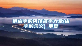 带由字的男孩名字大全(由字的含义)_重复