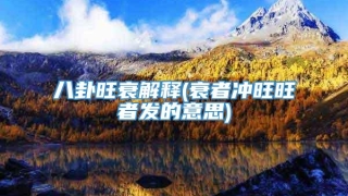 八卦旺衰解释(衰者冲旺旺者发的意思)