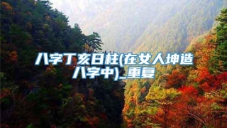 八字丁亥日柱(在女人坤造八字中)_重复