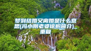 梦到结婚又离婚是什么意思(冯小刚老婆徐帆简介)_重复