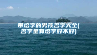 带培字的男孩名字大全(名字里有培字好不好)