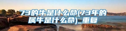 73的牛是什么命(73年的属牛是什么命)_重复