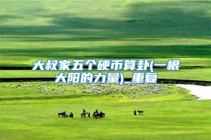 大叔家五个硬币算卦(一根大阳的力量)_重复