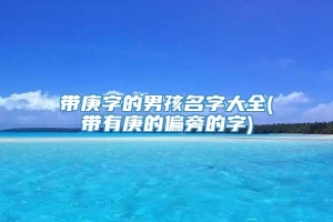 带庚字的男孩名字大全(带有庚的偏旁的字)