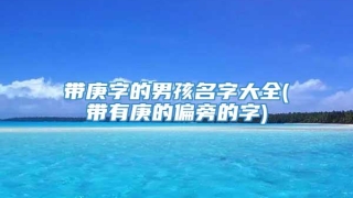 带庚字的男孩名字大全(带有庚的偏旁的字)