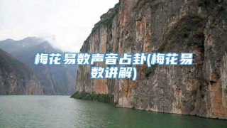 梅花易数声音占卦(梅花易数讲解)