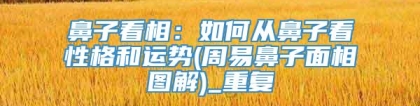 鼻子看相：如何从鼻子看性格和运势(周易鼻子面相图解)_重复