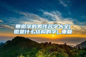 带徽字的男孩名字大全(徽是什么结构的字)_重复