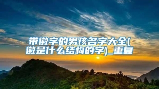 带徽字的男孩名字大全(徽是什么结构的字)_重复