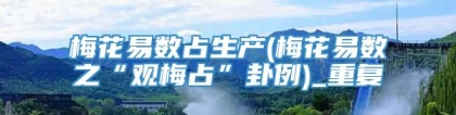 梅花易数占生产(梅花易数之“观梅占”卦例)_重复