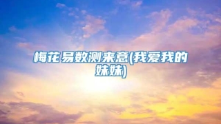 梅花易数测来意(我爱我的妹妹)