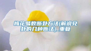 梅花易数断卦方法(解说兑卦的几种断法)_重复