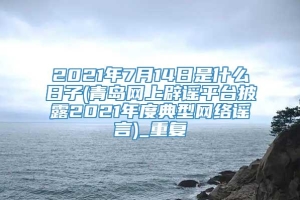 2021年7月14日是什么日子(青岛网上辟谣平台披露2021年度典型网络谣言)_重复