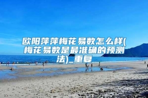 欧阳萍萍梅花易数怎么样(梅花易数是最准确的预测法)_重复