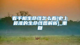 看手相生命线怎么看(史上最准的生命线图解析)_重复