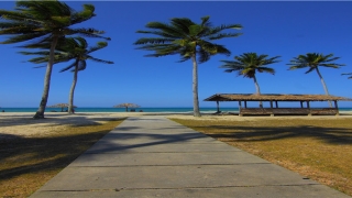 85属牛一生有几次婚姻(生在几几年的人)