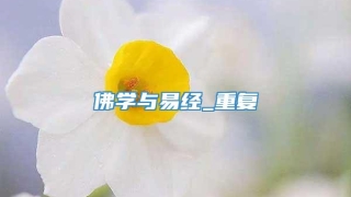 佛学与易经_重复