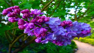 比较好听的商标名字(明确品牌定位)