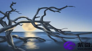 金命跟金命相不相克(金命跟什么命相克)